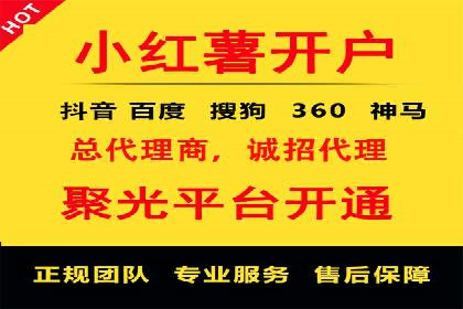 信息流广告代理案例对比分析